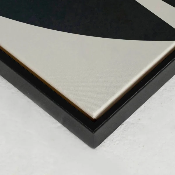 Oleka Canvas Canvas - Equilibrium* Canvases