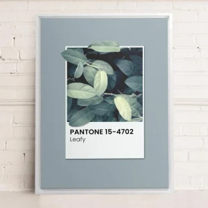 Oleka Canvas Canvas - Leafy* Canvases