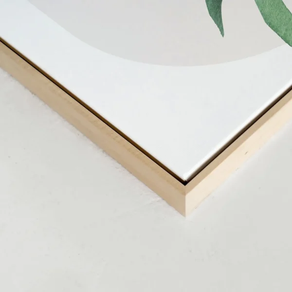 Kozy X Oleka Canvas - Tropical Ii* Canvases