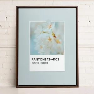 Oleka Canvas Canvas - White Petals* Canvases