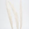 Botanico Dried Pampa Branches - 45"* Dried Stems & Flowers