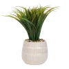 Attitudes Import Herbs In Textured Pots* Arrangements