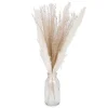 Attitudes Import Pampas Grass In A Vase* Arrangements