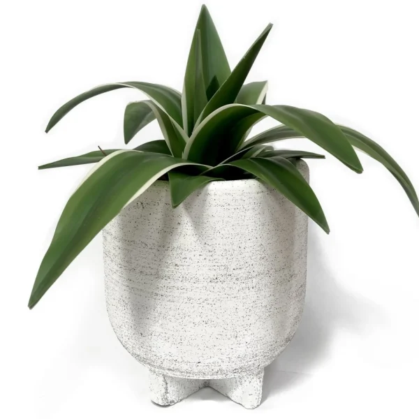 Nostalgia Import Vase On Stand - Paraiso Black & White* Vases & Pots